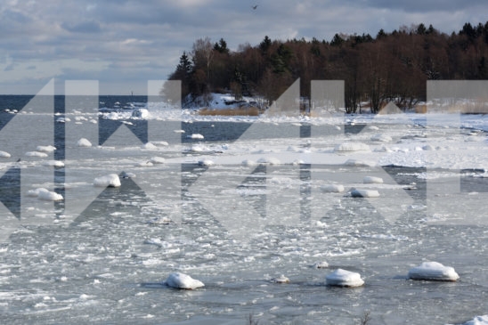 Winter Sea 1